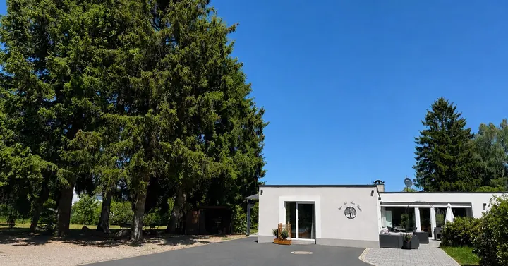 Sommerliche Außenansicht vom Haus der alten Bäume in Hillesheim