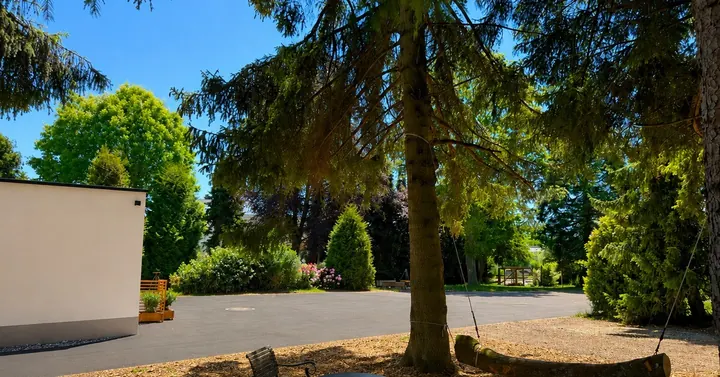Garten mit Baumschaukel unter alten Bäumen