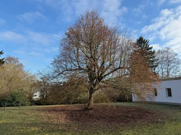 Seitenansicht